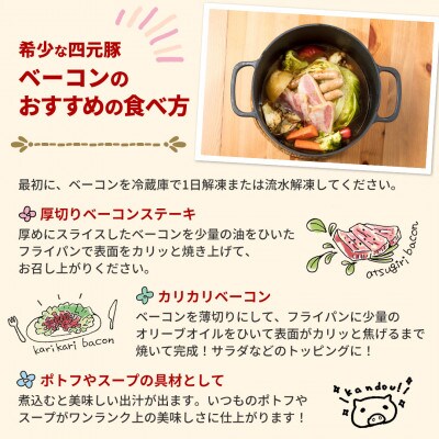 GIFTON 岩手県産四元豚 熟成ベーコンブロック 300g×3個