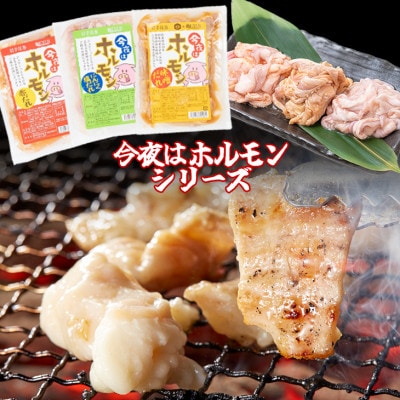 肉の匠中むら屋厳選　味付きホルモンセット