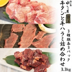 【訳あり品】肉の匠中むら屋厳選 牛タンと牛ハラミ詰め合わせ3.3kg