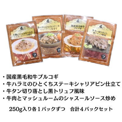 ジタンの贅沢　お肉料理4種類セット(250g×各1パック)