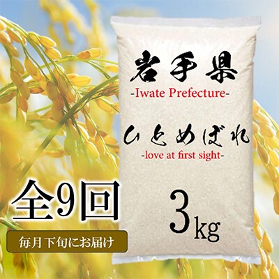 【毎月定期便】岩手県花巻産　ひとめぼれ　3kg　全9回