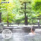 花巻温泉 日帰り入浴回数券(5回分)