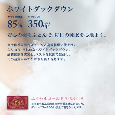 【訳あり】 羽毛布団 本掛け クイーン [色柄おまかせ] ホワイトダック ダウン85% ツインキルト
