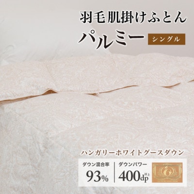 Hѕzc | VO [p~[] 100%×nK[zCgO[X _E93%