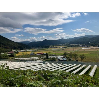 「早池峰の恵み」モリタワイン カベルネ・ソーヴィニヨン2017 ダム貯蔵ワイン