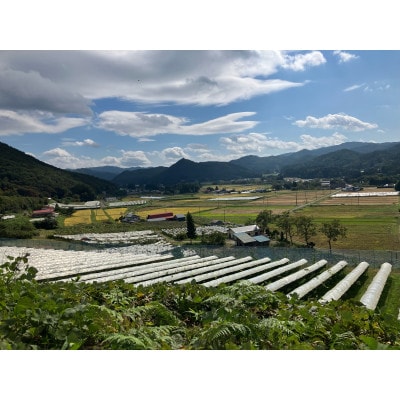 「早池峰の恵み」モリタワイン カベルネ・ソーヴィニヨン2021 ダム貯蔵ワイン