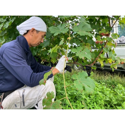 「早池峰の恵み」モリタワイン ツヴァイゲルト・レーベ 2016 ダム貯蔵・熟成ワイン