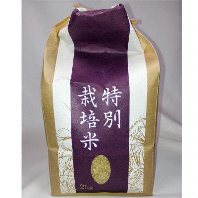 【令和7年産】銀河のしずく 厳選プレミアム　玄米 2kg タカハシ農園