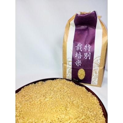 【令和7年産】銀河のしずく 厳選プレミアム　玄米 2kg タカハシ農園