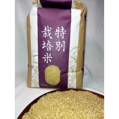 【令和7年産】銀河のしずく 厳選プレミアム　玄米 5kg タカハシ農園