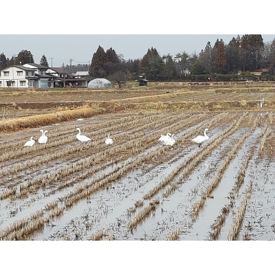 【毎月定期便】銀河のしずく厳選プレミアム(栽培期間中農薬・化学肥料削減)2kg タカハシ農園全3回