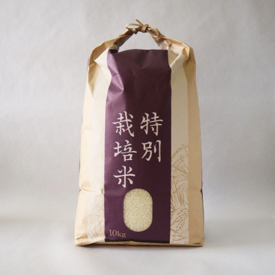 【毎月定期便】銀河のしずく厳選プレミアム(栽培期間中農薬・化学肥料削減)10kg タカハシ農園全3回