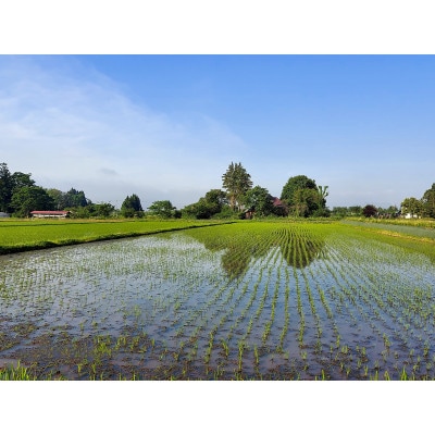 【毎月定期便】銀河のしずく厳選プレミアム(栽培期間中農薬・化学肥料削減)10kg タカハシ農園全3回