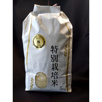 【毎月定期便】銀河のしずく 厳選プレミアム　極(kiwami)　5kg タカハシ農園全3回