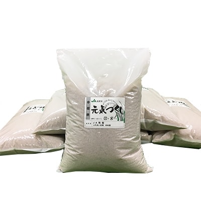 元気つくし　玄米30kg