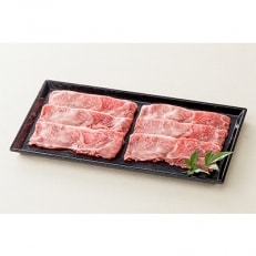 信州牛 赤身切り落とし(カタ)250g×1