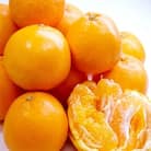 清水のミカン　はるみ5kg