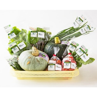 【JAS認定有機野菜】北斗市産　有機野菜8～10種類野菜セット 紙箱入(季節で種類が変わります)