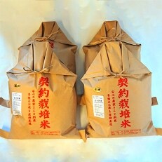 【令和4年産】もっちり米　20kg(5kg×4袋)/(精米)
