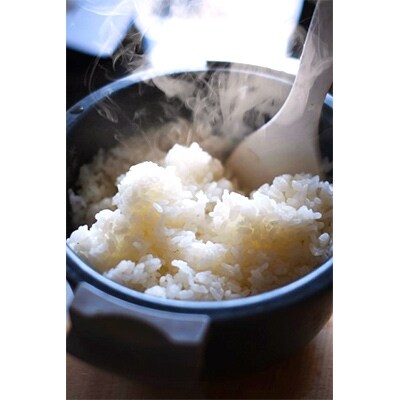 【平成30年産】岩手農家のお米 8kg(4kg×2袋)/(精米)