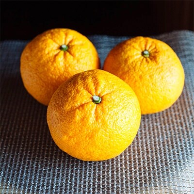 呼子加部島産の甘夏10kg