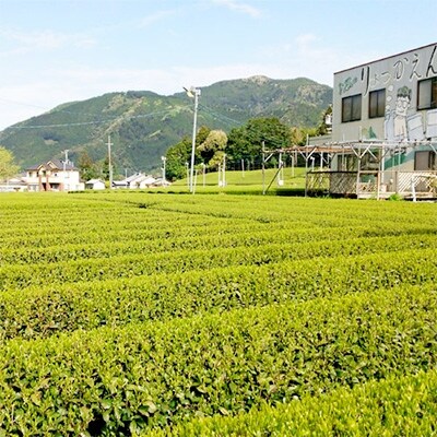秋のお茶　(100g×3本セット)