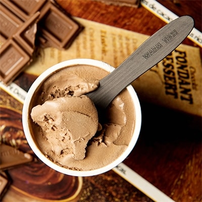 WARM TECH icecream SPOON(ウォームテックアイスクリームスプーン)