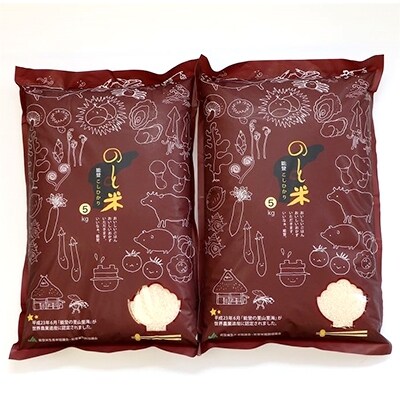 【令和2年産】能登米コシヒカリ10kg (5kg×2袋)