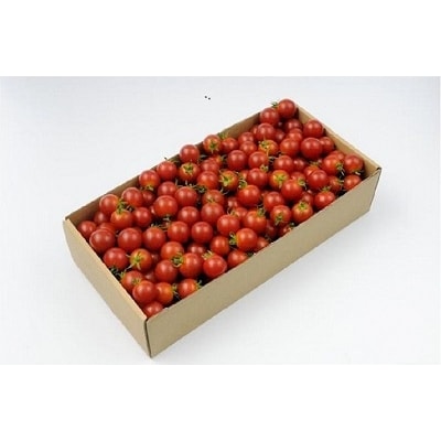 ミニトマト1kg 10月以降順次発送【1】
