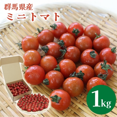 ミニトマト1kg  10月以降順次発送【1】