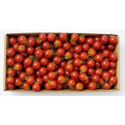 ミニトマト1kg【1】