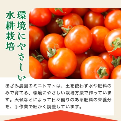 ミニトマト1kg  10月以降順次発送【1】