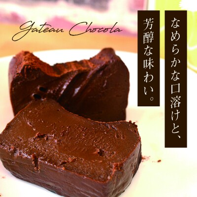 ガトーショコラ2本セット【27】