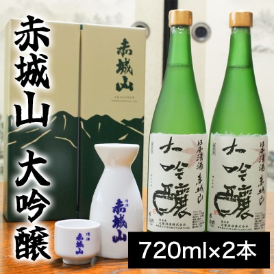 赤城山　大吟醸【82】