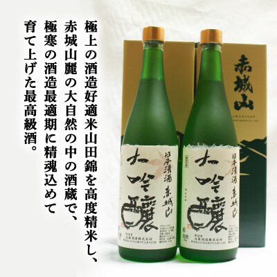 赤城山　大吟醸【82】