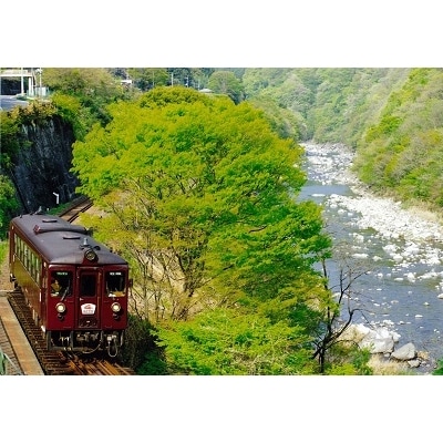 わたらせ渓谷鐵道「わ鐵のわっしー」グッズ6点【95】