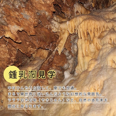 小平の里　手作りまんじゅう体験&鍾乳洞　2名様【55】