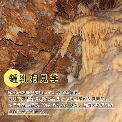 小平の里　うどん打ち体験&鍾乳洞見学　2名様【57】