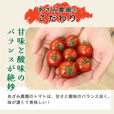 ミニトマト2kg箱　10月以降順次発送【11】