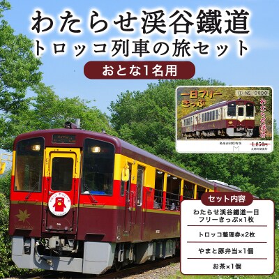 わたらせ渓谷鐵道「トロッコ列車の旅セット」※おとな1名用【73】