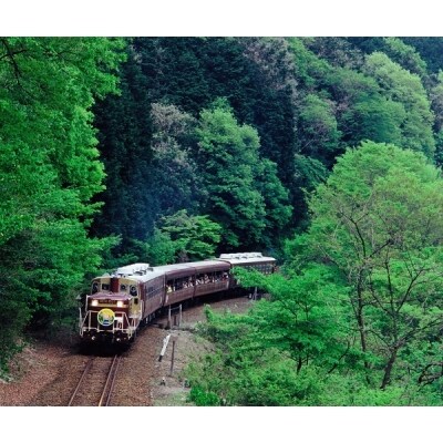 わたらせ渓谷鐵道「トロッコ列車の旅セット」※おとな1名用【73】【73】