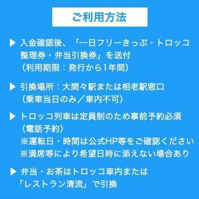 わたらせ渓谷鐵道「トロッコ列車の旅セット」※おとな1名用【73】