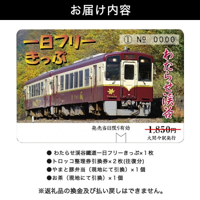 わたらせ渓谷鐵道「トロッコ列車の旅セット」※おとな1名用【73】