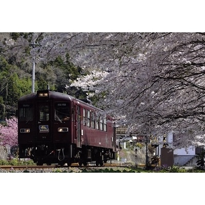 わたらせ渓谷鐵道「わ鐵のわっしー」グッズ&一日フリーきっぷ【96】