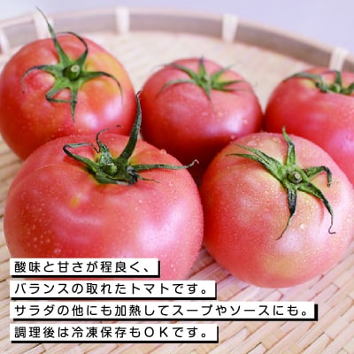 大玉トマト24玉【34】