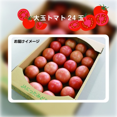 大玉トマト24玉【34】