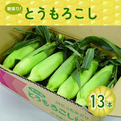 朝採りとうもろこし13本【35】