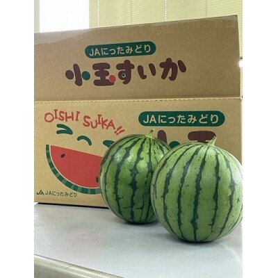 シャリシャリ食感の小玉すいか5玉【102】