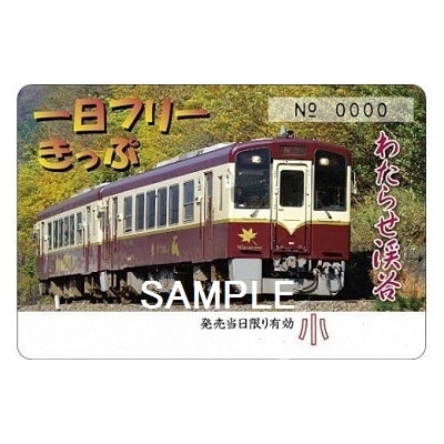 わたらせ渓谷鐵道「トロッコ列車の旅セット」 ※こども1名用【49】