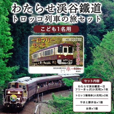わたらせ渓谷鐵道「トロッコ列車の旅セット」 ※こども1名用【49】